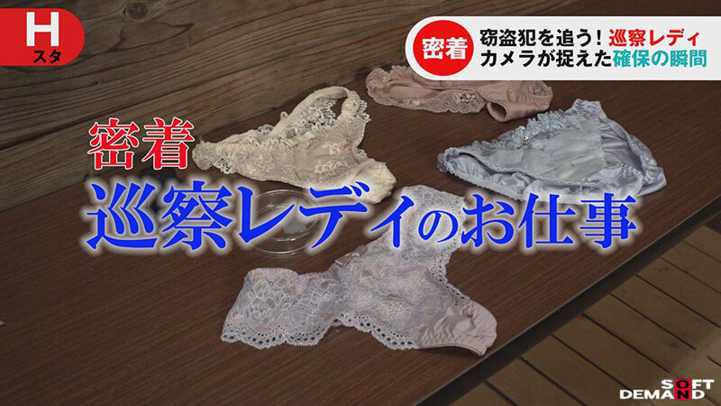 巡察レディのお仕事～女湯更衣室パンティ窃盗少年更生精子回収編～