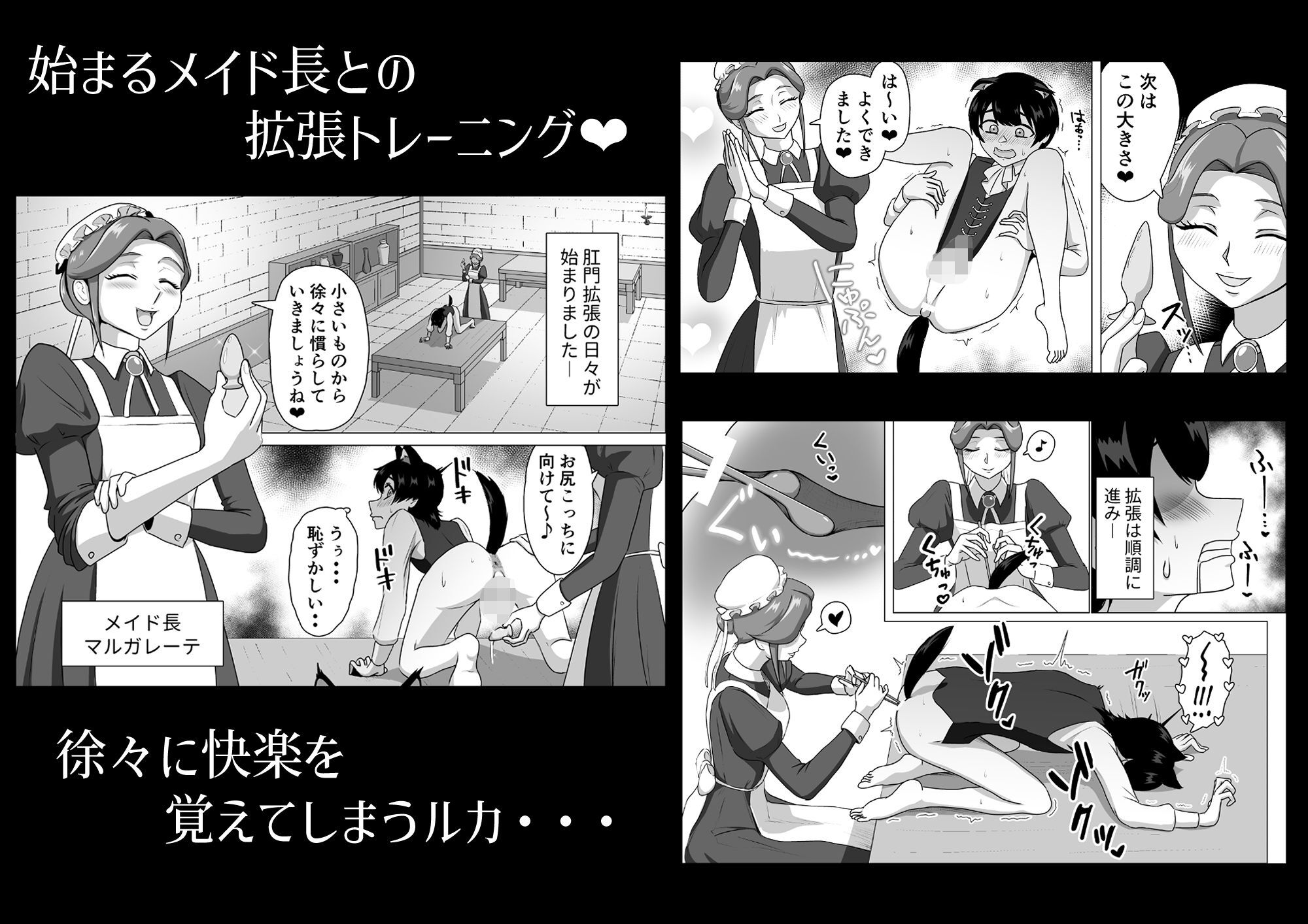 ふたなり女侯と従狼の夜伽