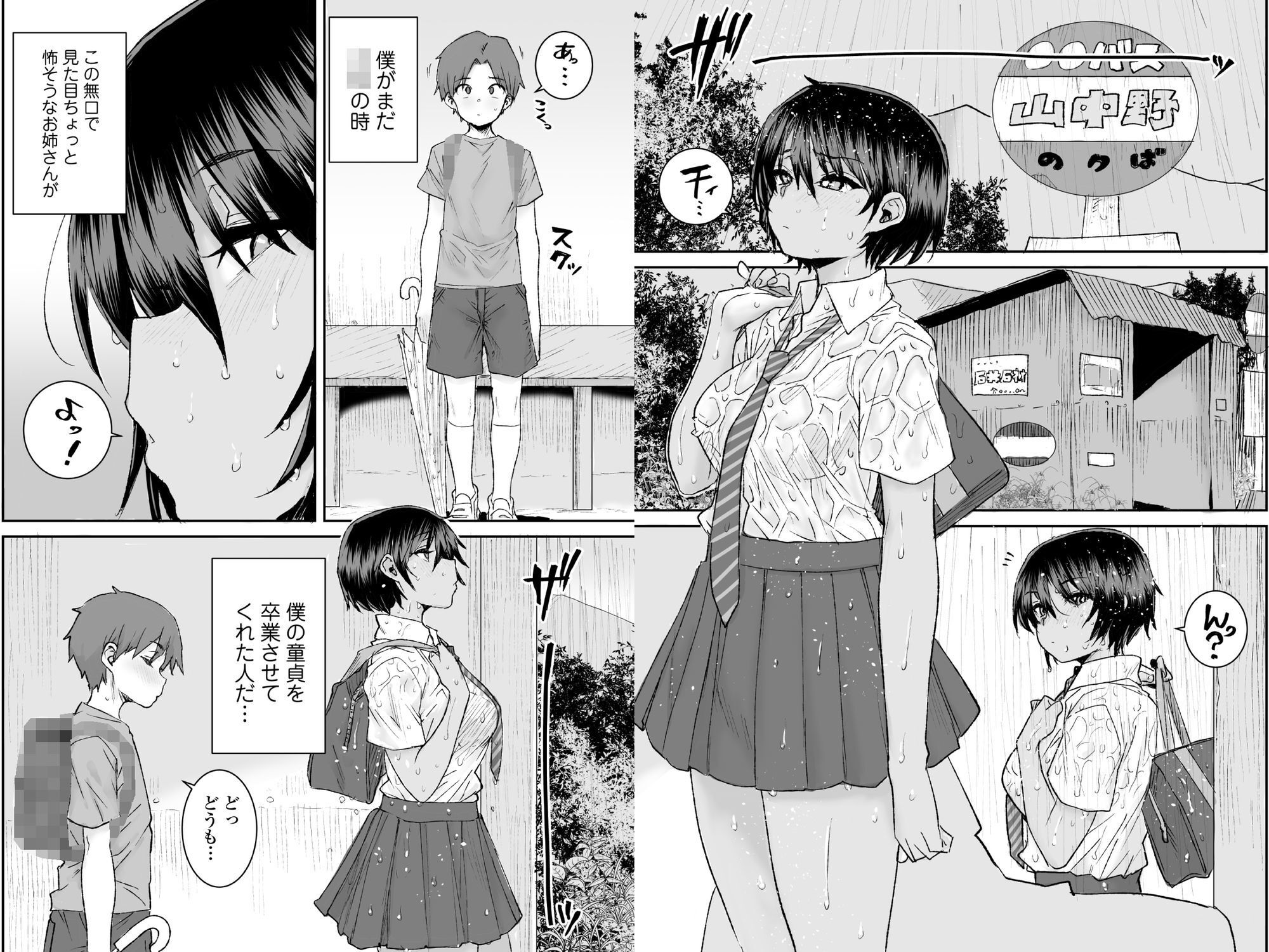 無口で気の強いボーイッシュなお姉ちゃんで僕は童貞を卒業しました