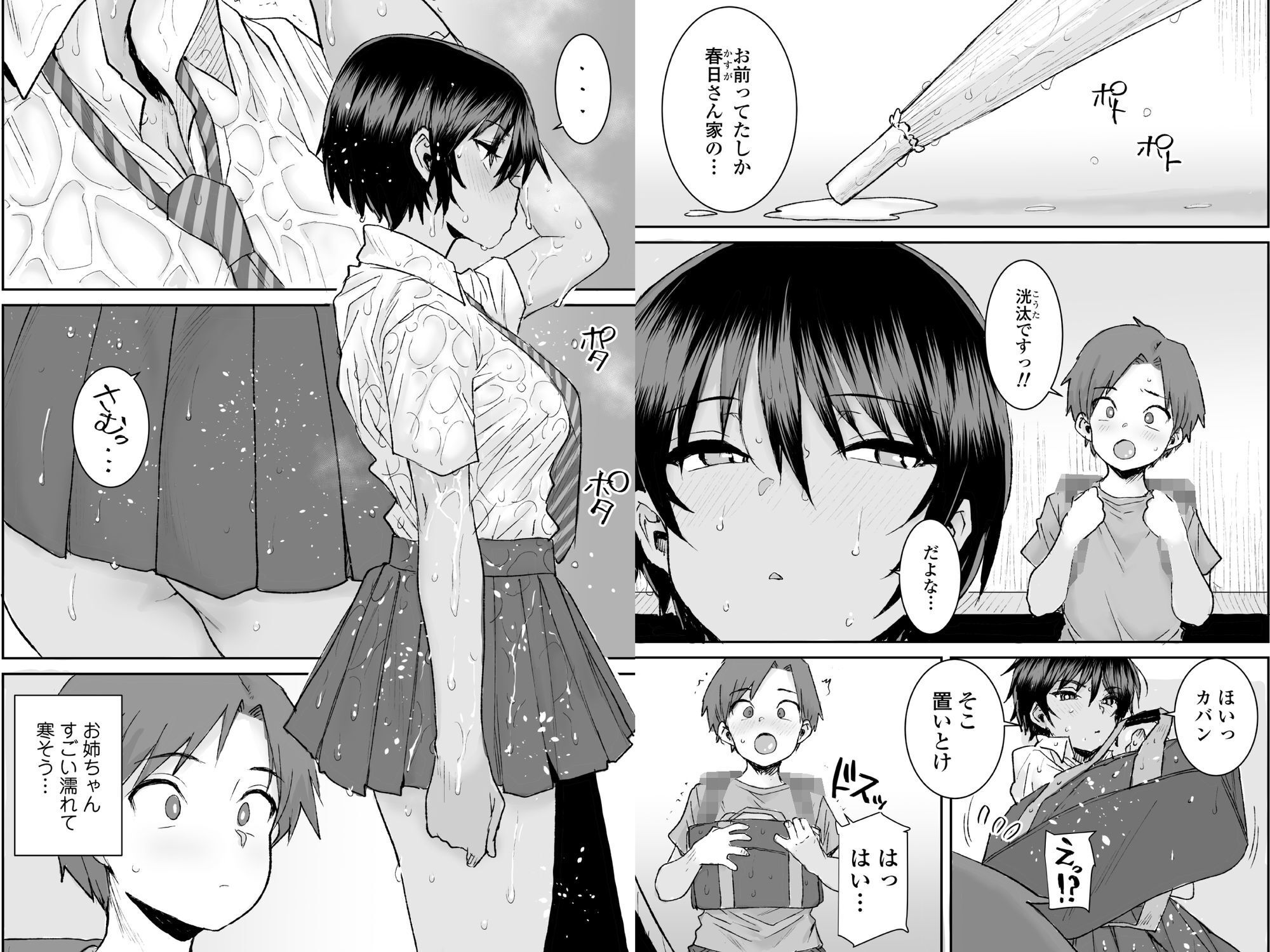 無口で気の強いボーイッシュなお姉ちゃんで僕は童貞を卒業しました