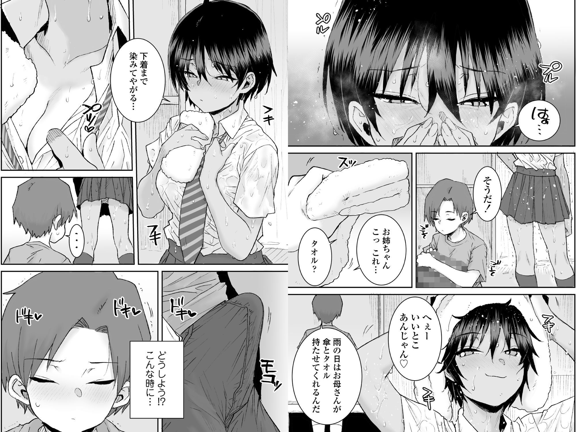 無口で気の強いボーイッシュなお姉ちゃんで僕は童貞を卒業しました