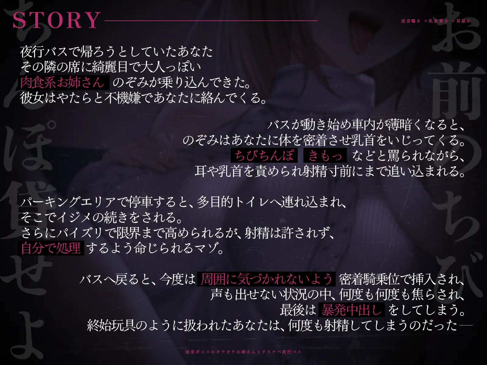 【低音囁き×乳首責め×耳舐め】「おい、お前のちびちんぽ貸せよ」低音ボイスのオラオラお姉さんとドスケベ夜行バス【CV沢野ぽぷら】