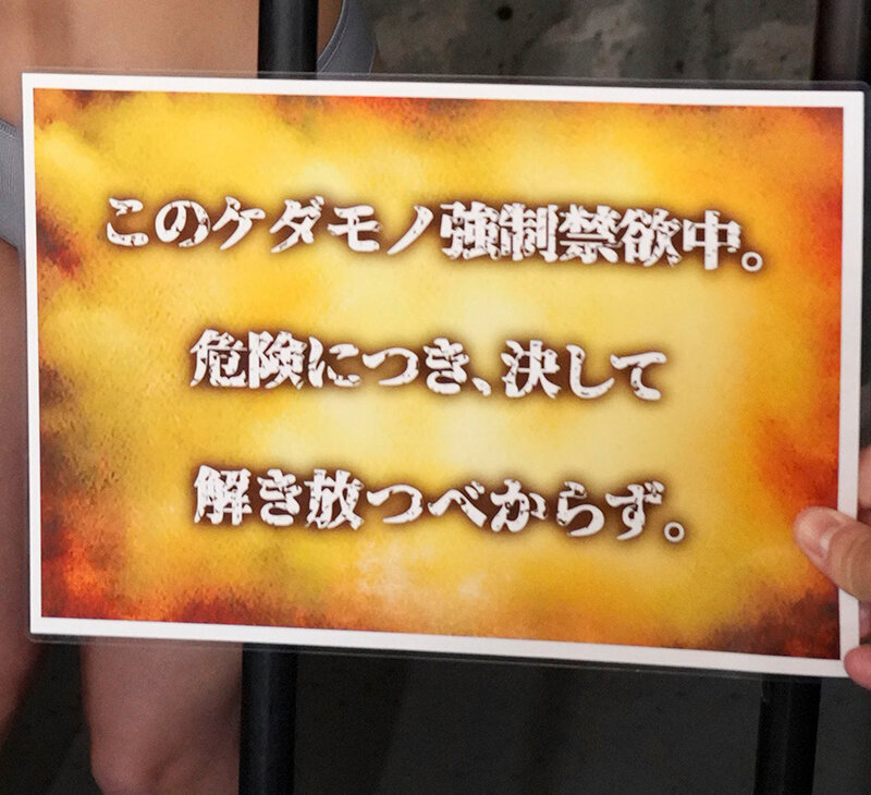 【VR】このケダモノ強●禁欲中。危険につき、決して解き放つべからず。 男の体液全てを貪る異常性犯罪者 Yさん